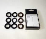 KIT69 Zestaw Naprawczy do Pomp INTERPUMP uszczelnienia wodne
