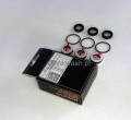 KIT273 2am.jpg