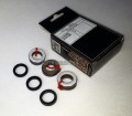 KIT161 1 am.jpg