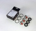 KIT285 1am.jpg