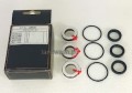 KIT284 1am.jpg